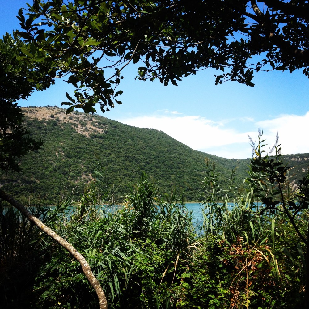 2014-08-06 13.35.32-1