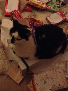 sinterklaas pakjesavond