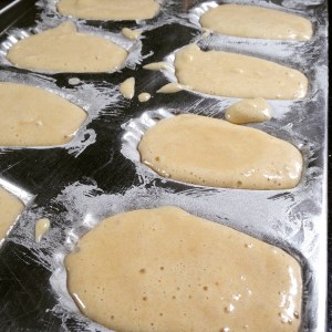 classic french madeleines