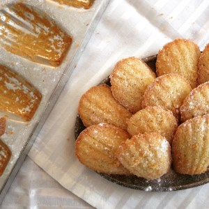 classic french madeleines