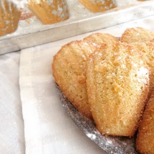 classic french madeleines
