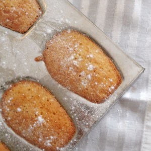 classic french madeleines