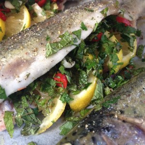 fresh oven roasted trout